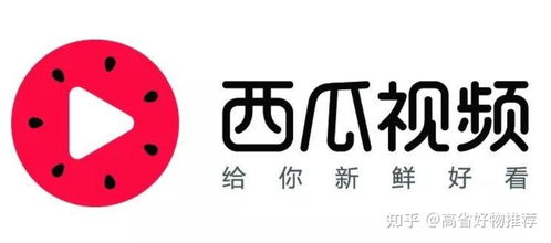 淘客是什么？淘客怎么做？——影视赛道入门指南